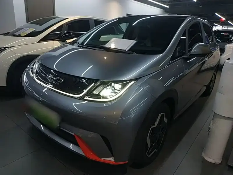 BYD Dolphin, 2022
