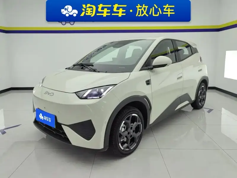 BYD Seagull, 2025