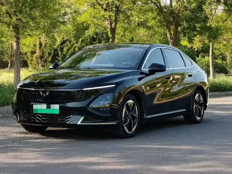 Wuling Xingguang, 2024