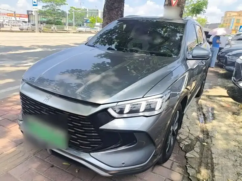 BYD Pro New Energy, 2024