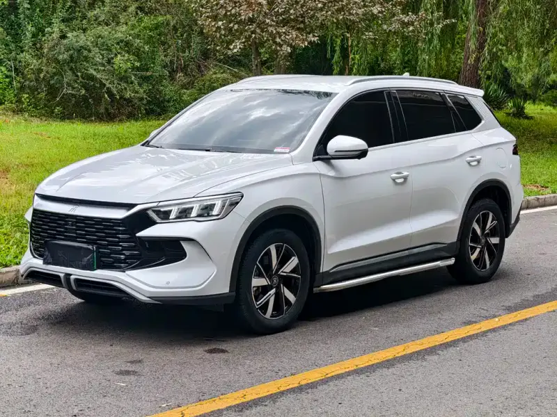 BYD Pro New Energy, 2024