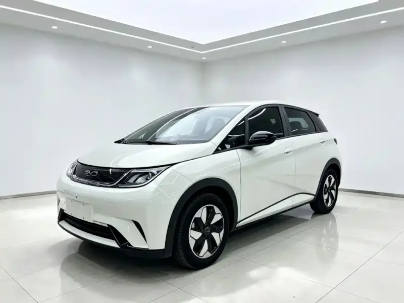 BYD Dolphin, 2024