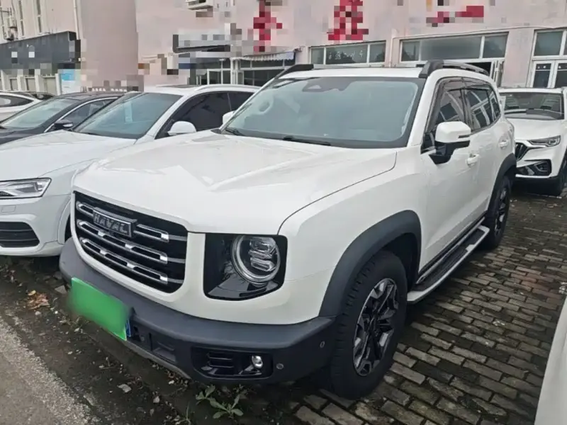 Haval Big Dog, 2021