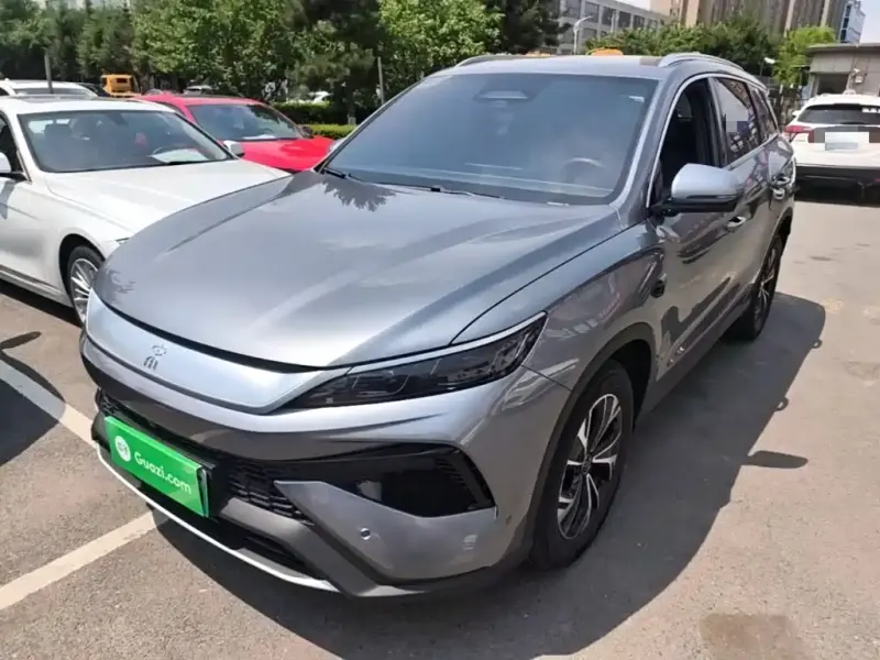 BYD Pro New Energy, 2025