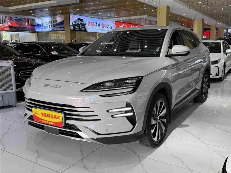 BYD PLUS New Energy, 2024