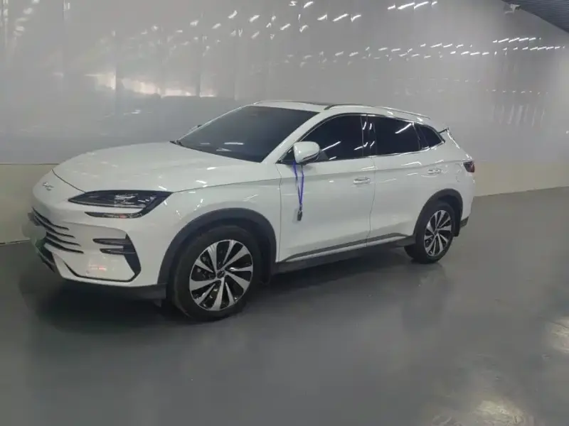 BYD PLUS New Energy, 2025