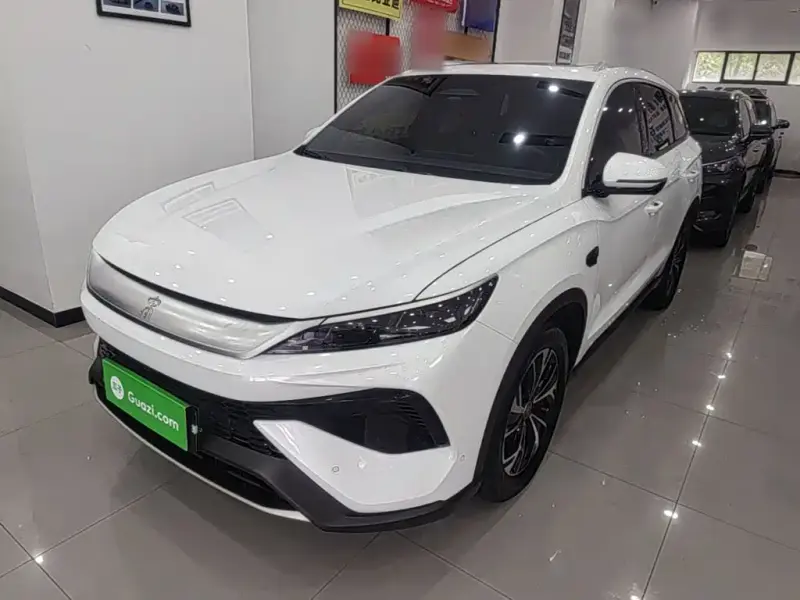 BYD Pro New Energy, 2025