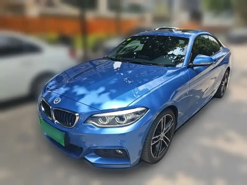 BMW 2 Series (Import), 2019