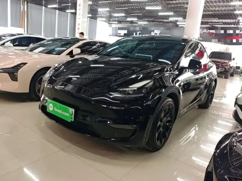 Tesla Model Y, 2021