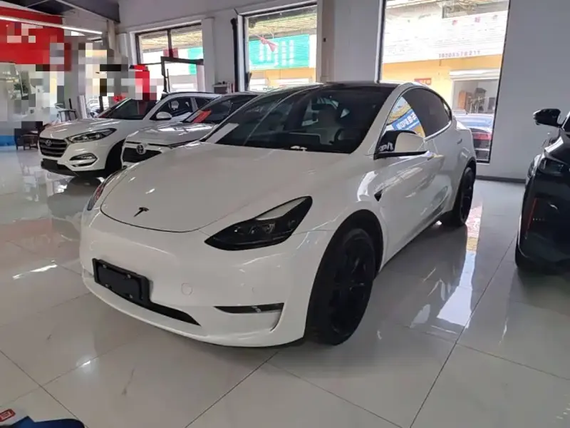 Tesla Model Y, 2021