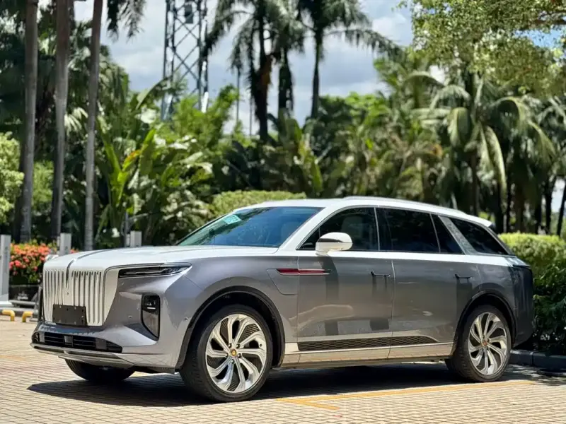 Hongqi E-HS9, 2021
