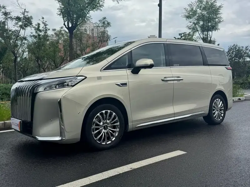 Wey Gaoshan, 2024