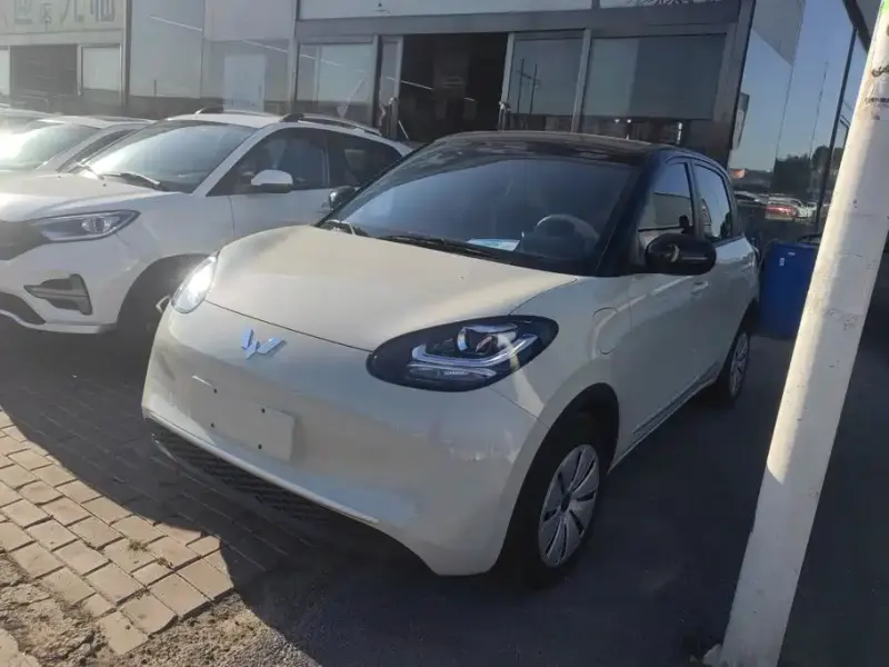 Wuling Bingo, 2024