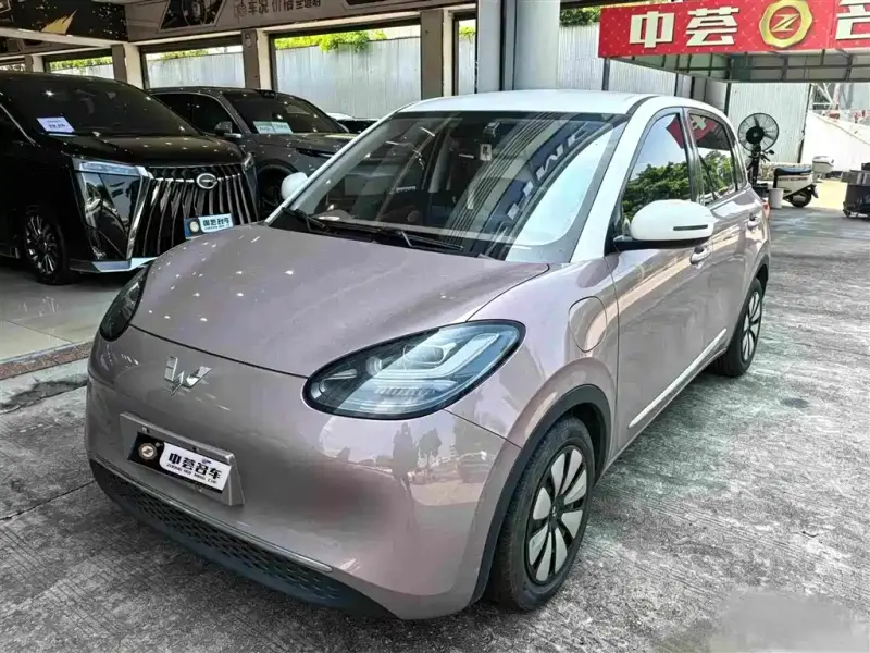 Wuling Bingo, 2023