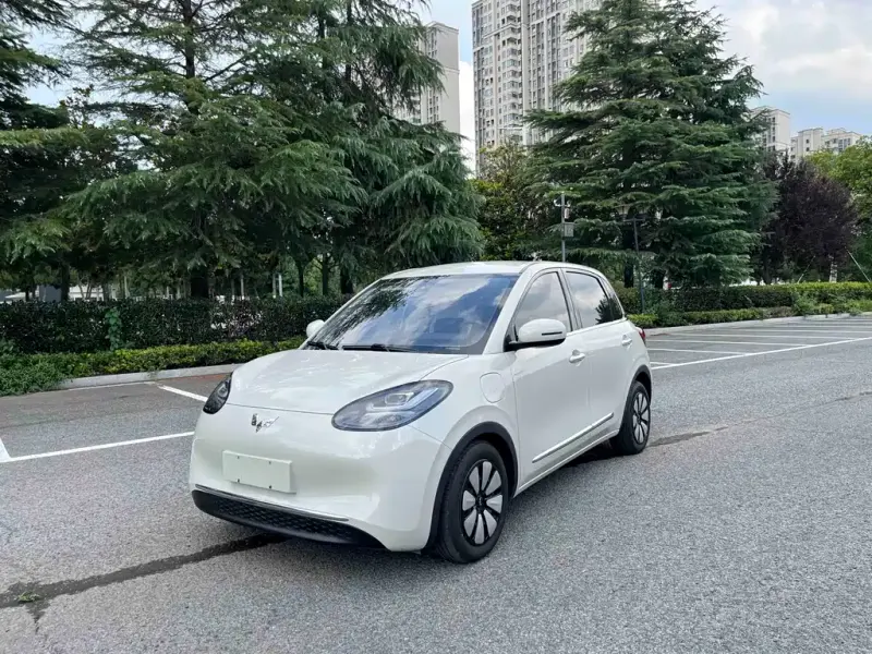 Wuling Bingo, 2023