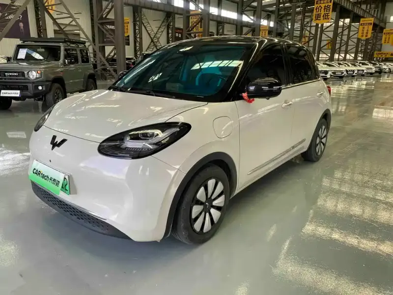 Wuling Bingo, 2023