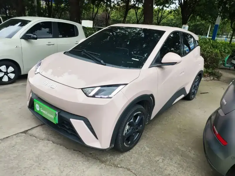 BYD Seagull, 2024