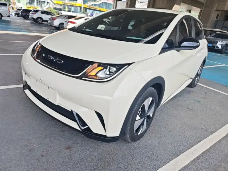 BYD Dolphin, 2023