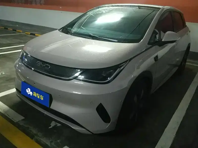 BYD Dolphin, 2025