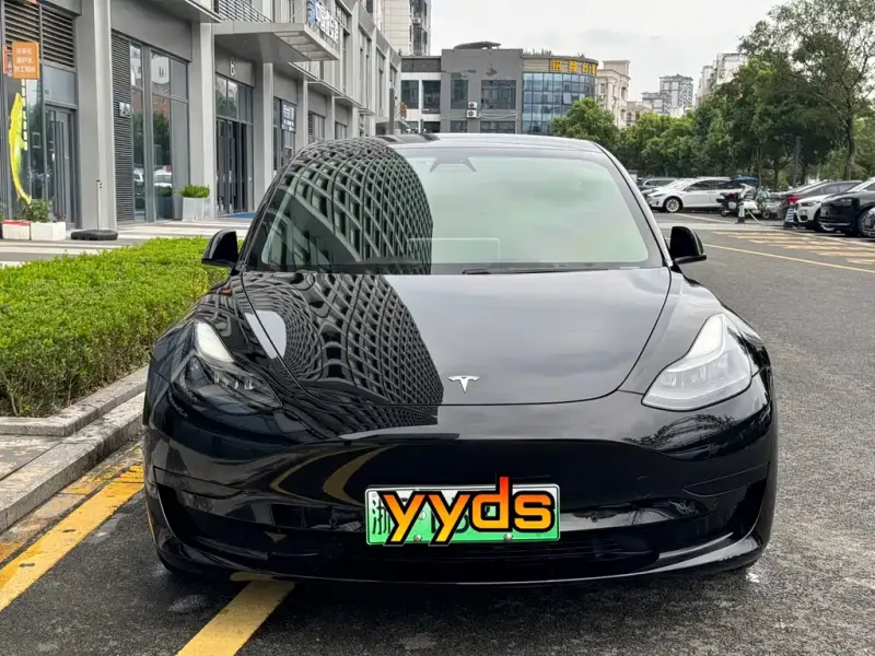 Tesla Model 3, 2021