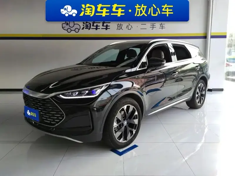 BYD Tang New Energy, 2024