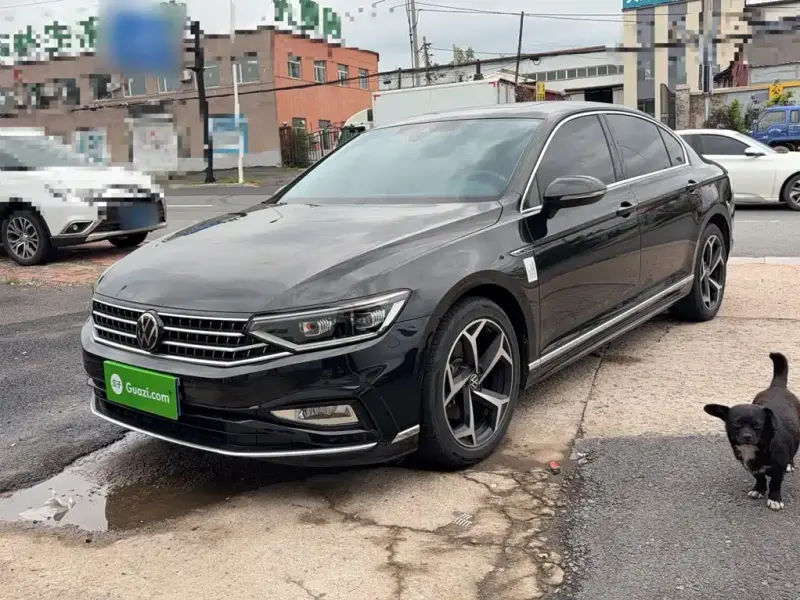 Volkswagen Magotan, 2024