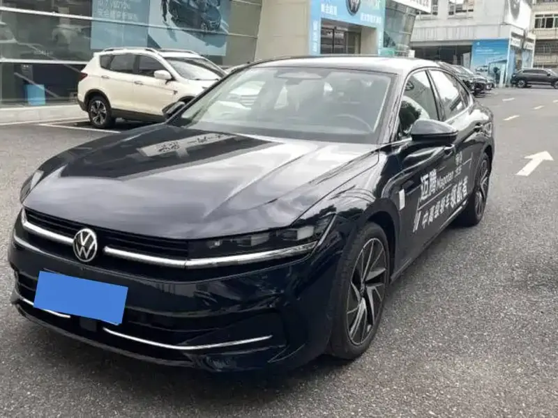 Volkswagen Magotan, 2024