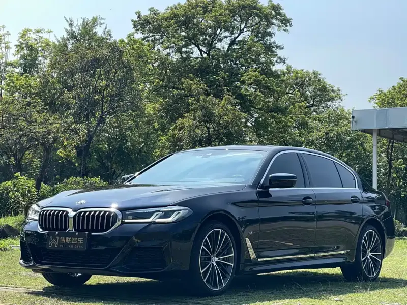 BMW 5 Series, 2021