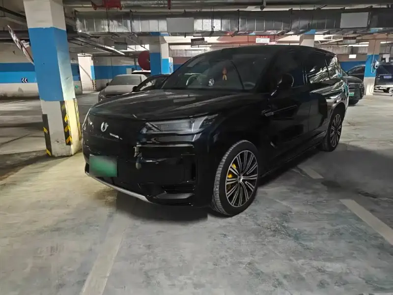 Denza N9, 2025