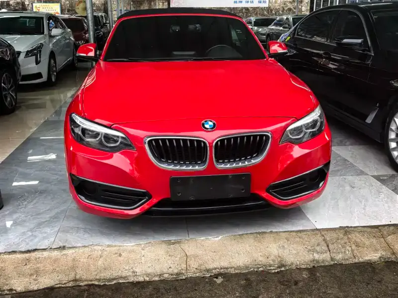 BMW 2 Series (Import), 2018