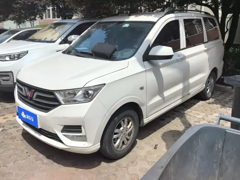 Wuling Hongguang, 2019