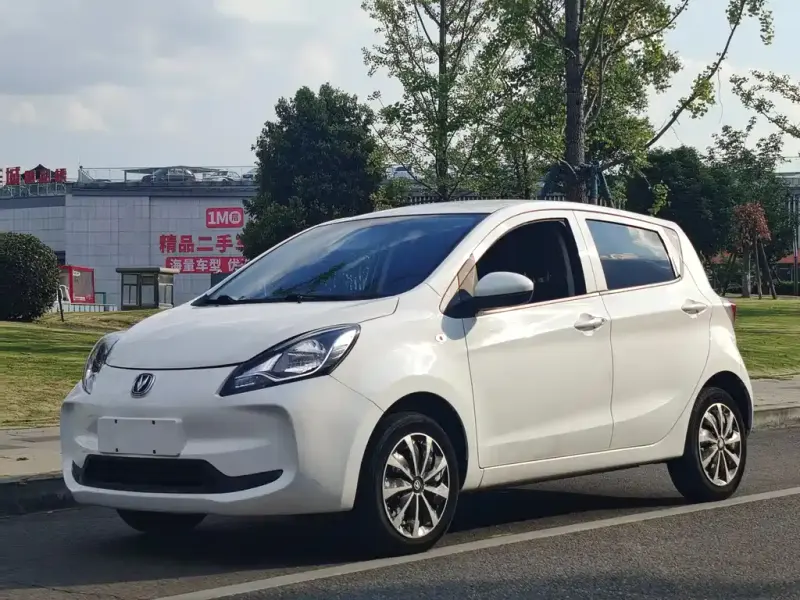 Changan Benben E-Star, 2021