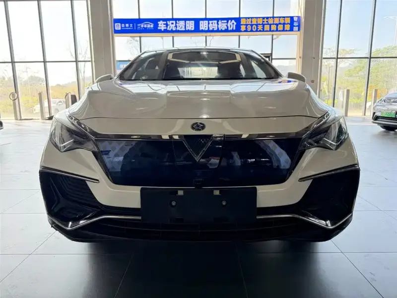 Venucia D60 EV, 2020