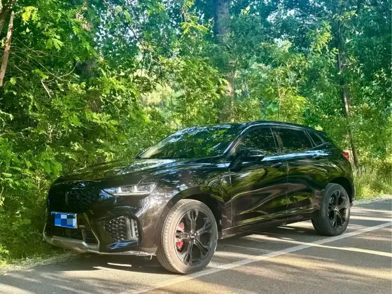 Wey VV7, 2017