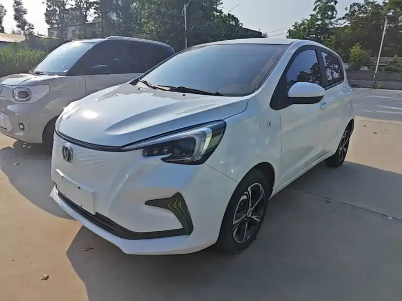 Changan Benben E-Star, 2020