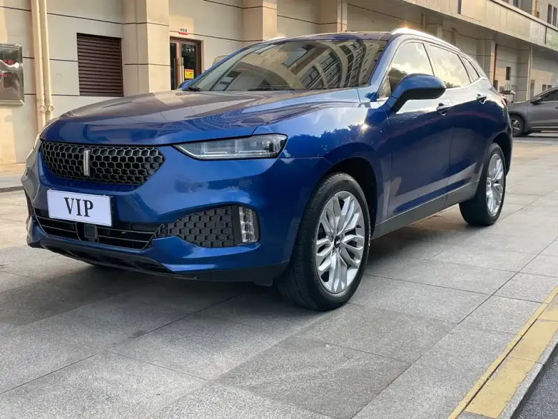 Wey VV7, 2017