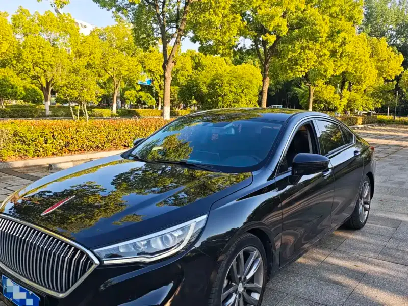 Hongqi H5, 2020