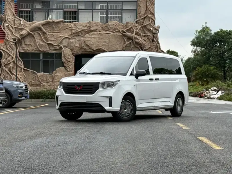 Wuling Zhengcheng, 2021
