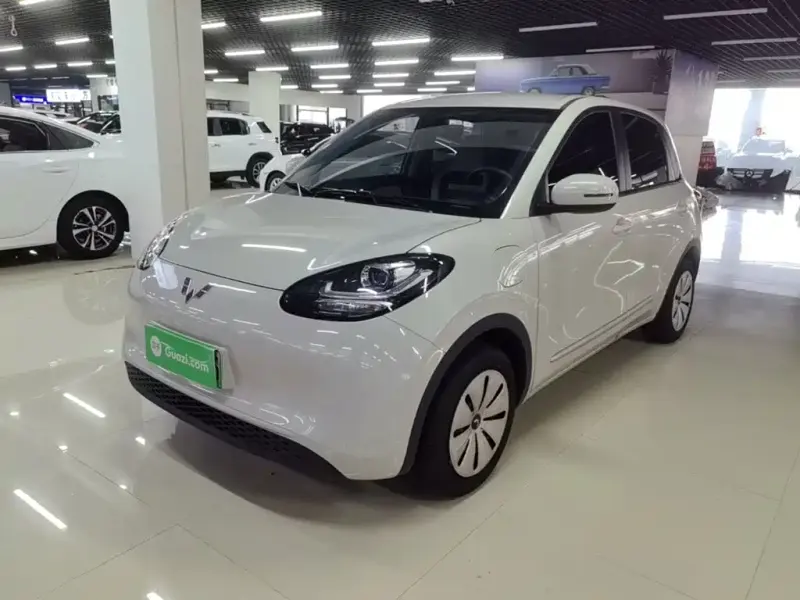 Wuling Bingo, 2024