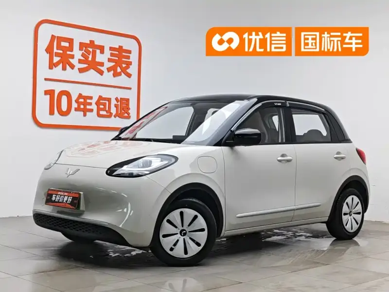 Wuling Bingo, 2025