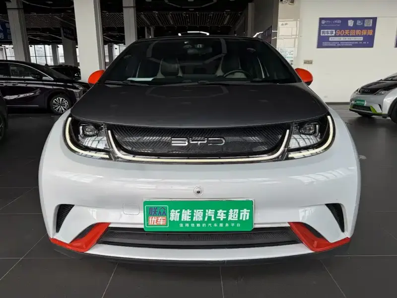 BYD Dolphin, 2022