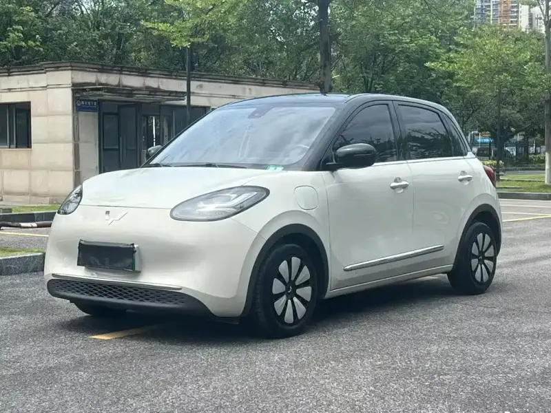 Wuling Bingo, 2023