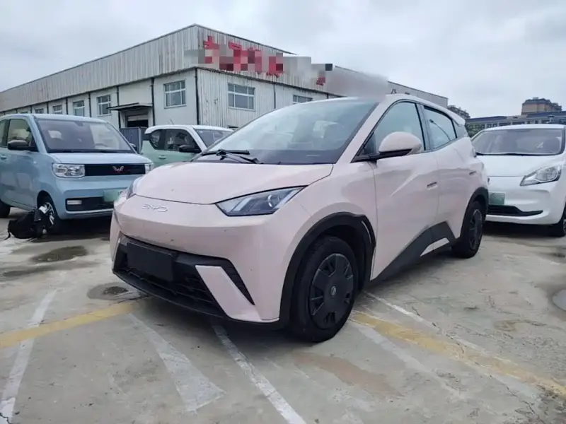 BYD Seagull, 2023