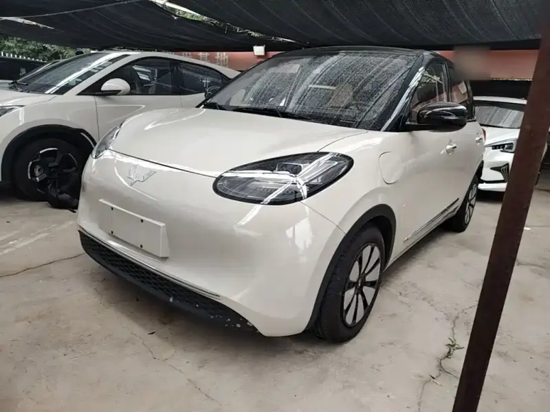 Wuling Bingo, 2023