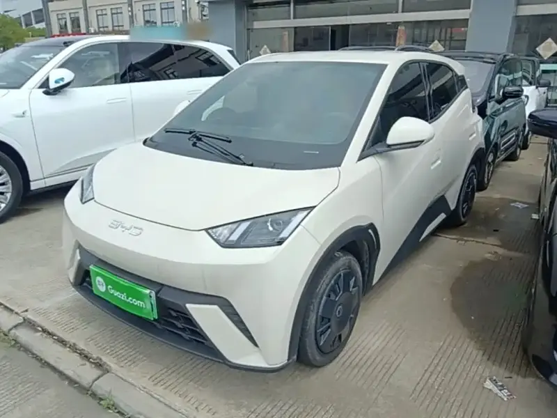 BYD Seagull, 2024