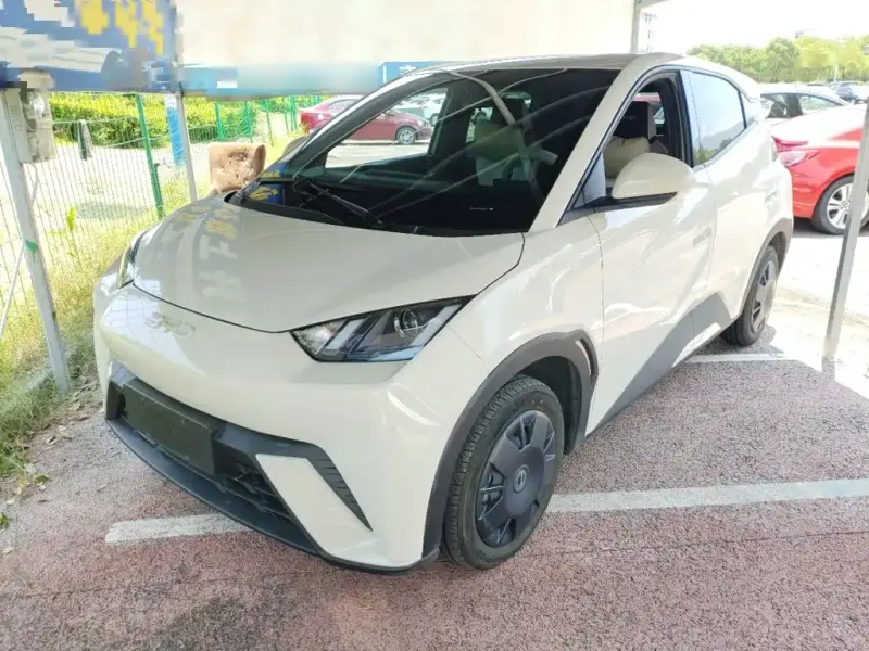 BYD Seagull, 2024