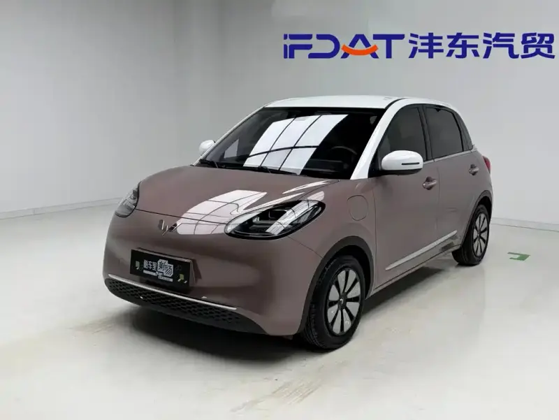 Wuling Bingo, 2023