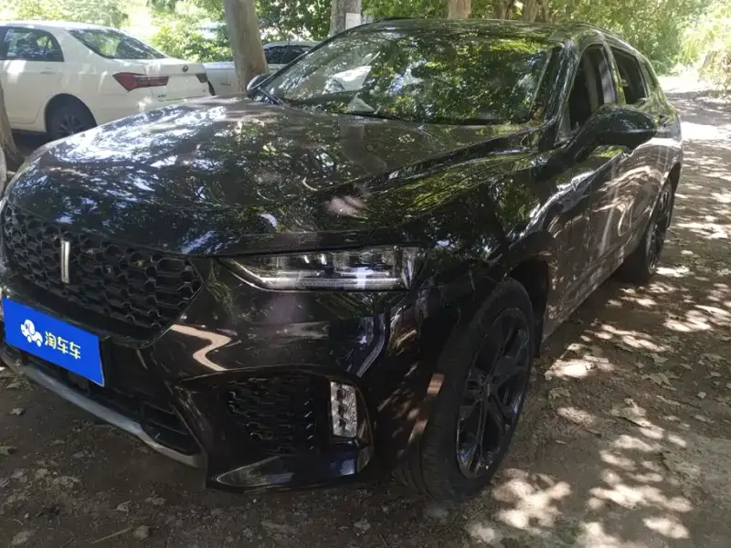 Wey VV7, 2019