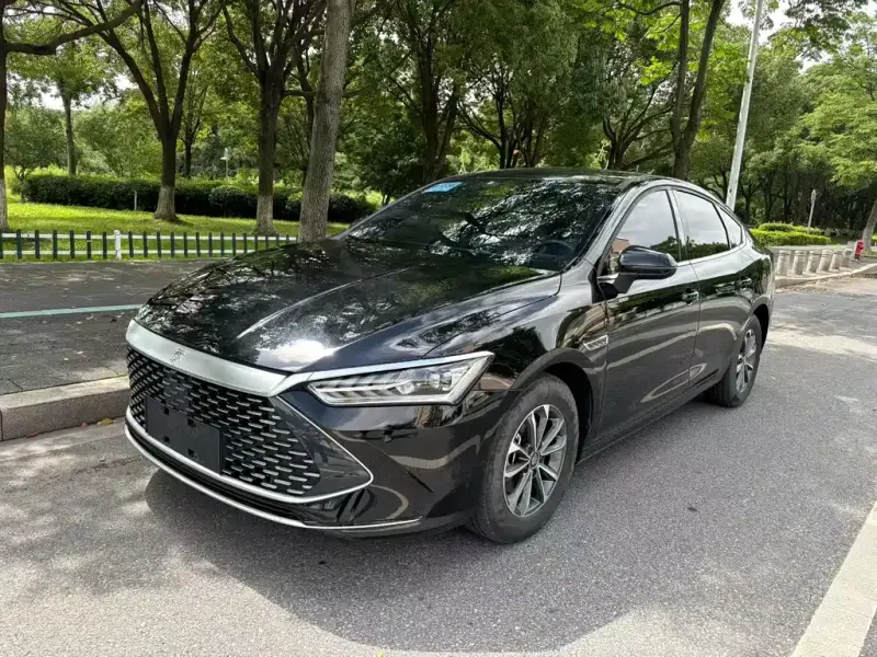 BYD Qin PLUS, 2024