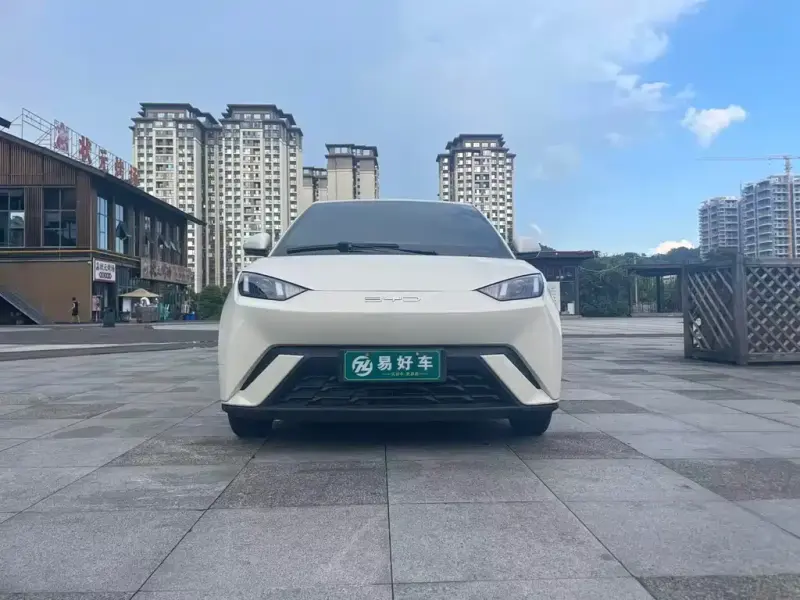BYD Seagull, 2024